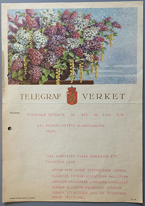 Bildet kan inneholde: tekst, botanikk, anlegg, blomst.