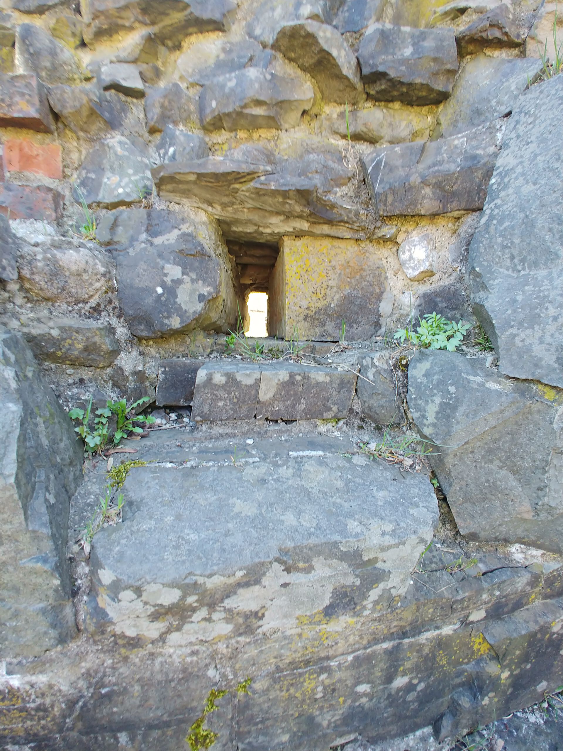 Bildet kan inneholde: vindu, berggrunn, anlegg, gress, vann.
