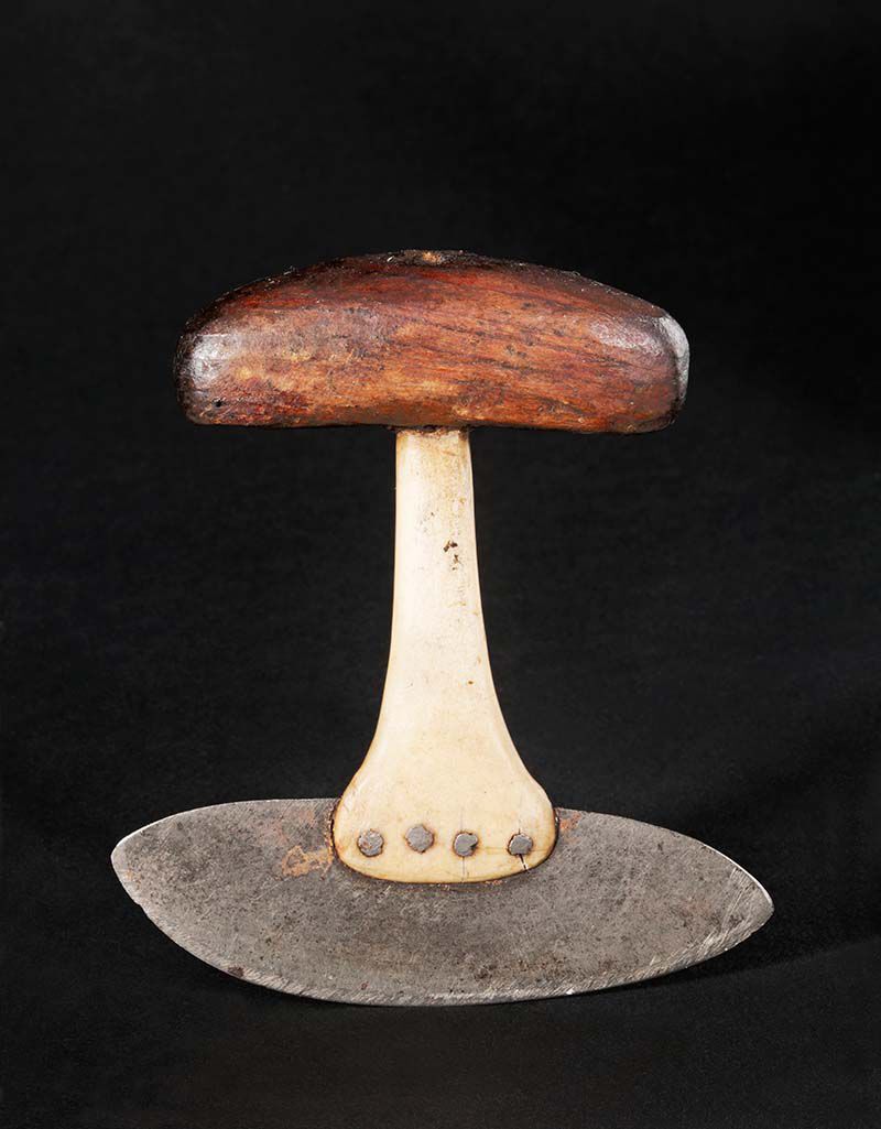 Image may contain: Natural material, Mushroom, Still life photography.