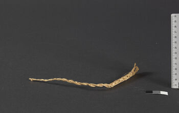 (UEM46945) It is a common pastime to make simple bamboo toys like this. Materials: Bamboo with seeds enclosed. West Karbi Anglong/Hamren district.