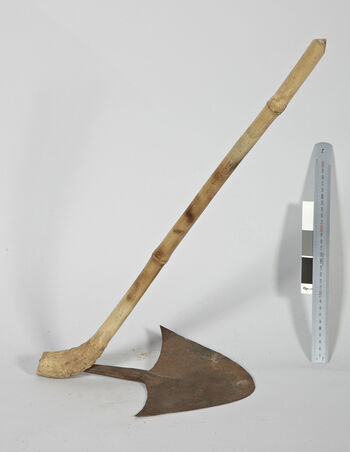 (UEM46944) A hoe is used for digging, chopping, and loosening soil, commonly used in agriculture for tasks such as planting, weeding, and preparing land for cultivation. The names of tools and agricultural work differ in the eastern and western parts of Karbi Anglong. In the east, much of the farming is done on the flatlands, while in the west, it is primarily Jhum (slash-and-burn farming) in the forested hills. Materials: Iron and bamboo. West Karbi Anglong and Meghalaya distircts.