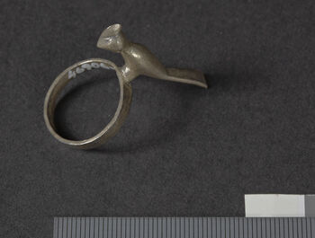 (UEM 46906: a + b) This traditional style of finger ring can be worn on all social occasions. It is not available as a ready-made product on the market. Kaban Rongpharpi first purchased the metal, which could be silver or various brass-like alloys, and then went to the blacksmith to have it made.  Wo  means bird in Karbi,  arnan  means ring.