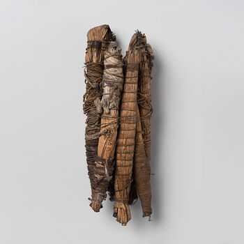 (UEM2440 a) Plant based powder for tattooing ( tatu/ta kona ) wrapped in 17 cm. long cylindrical rolls made of plant fibers. Like so many other places in Polynesia extensive tattooing of the body as well as the face was common among both men and women on Rapa Nui during the 18th century when the island was first visited by European sailors and the practice was still widespread when Peter Arup visited the island in 1869. The tattooing was performed by driving a small tattooing comb ( ‘uhi)   made out of sharp fish- or bird’s bone through the skin by hitting it with a wooden mallet ( mira pua ‘uhi ) before applying tattooing ink made by boiling and burning different kinds of local plants.