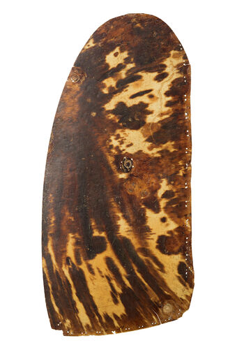 (UEM2447 a-d) The turtleback shells have drilled holes at one of the ends and may have been attached to a rope and been used as a part of ceremonial adornment.