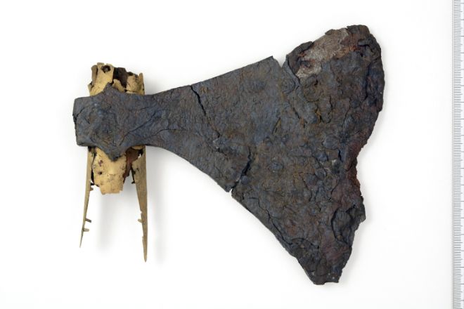 More picture of this axe in the museum&#39;s database.