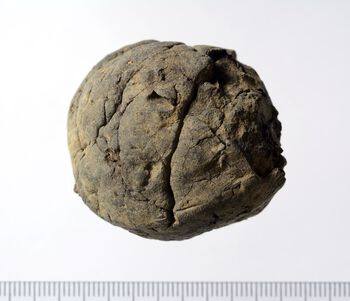 Lump&amp;#160;of pitch shaped into a ball with fingerprints&amp;#160;visible. Photo: Vegard Vike, KHM/UiO.