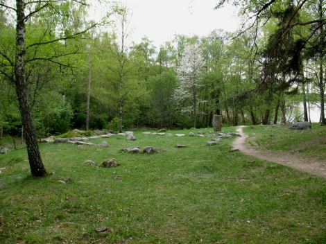 Bildet kan inneholde: naturlig landskap, natur, natur reservat, naturlige omgivelser, tre.