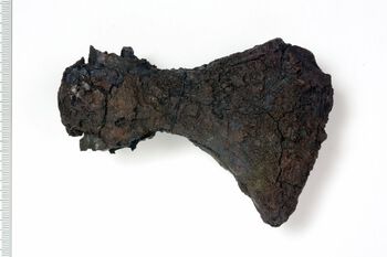 More picture of this axe in the museum's database.