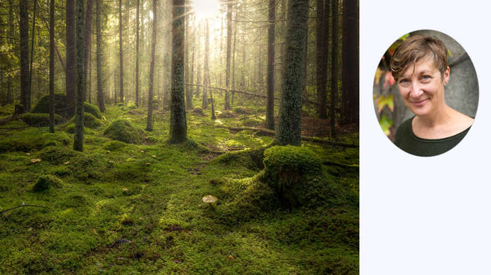 Skog, til venstre et profilbilde av en kvinne.