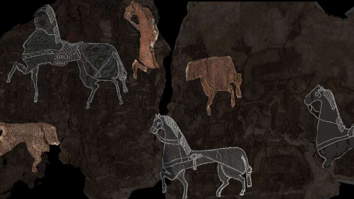 Bildet kan inneholde: hest, flokkdyr, arbeidsdyr, husdyr, mustang.