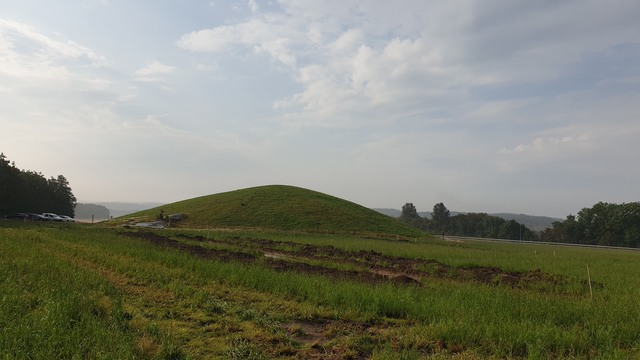 Naturlandskap, grønne sletter.