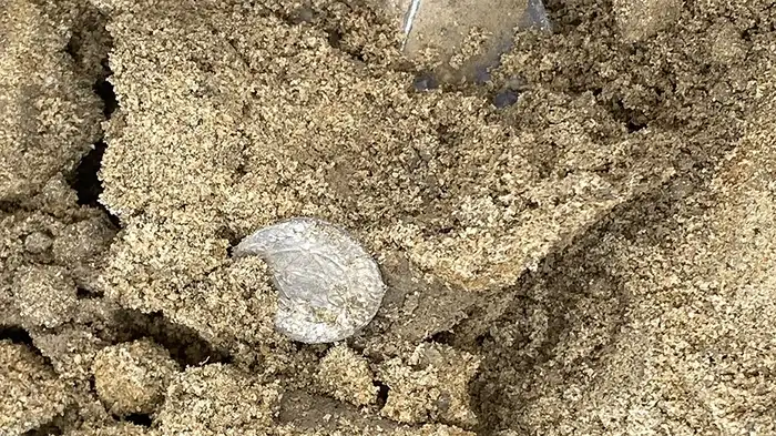 Bildet kan inneholde: sand, jord, naturmateriale, blanding.