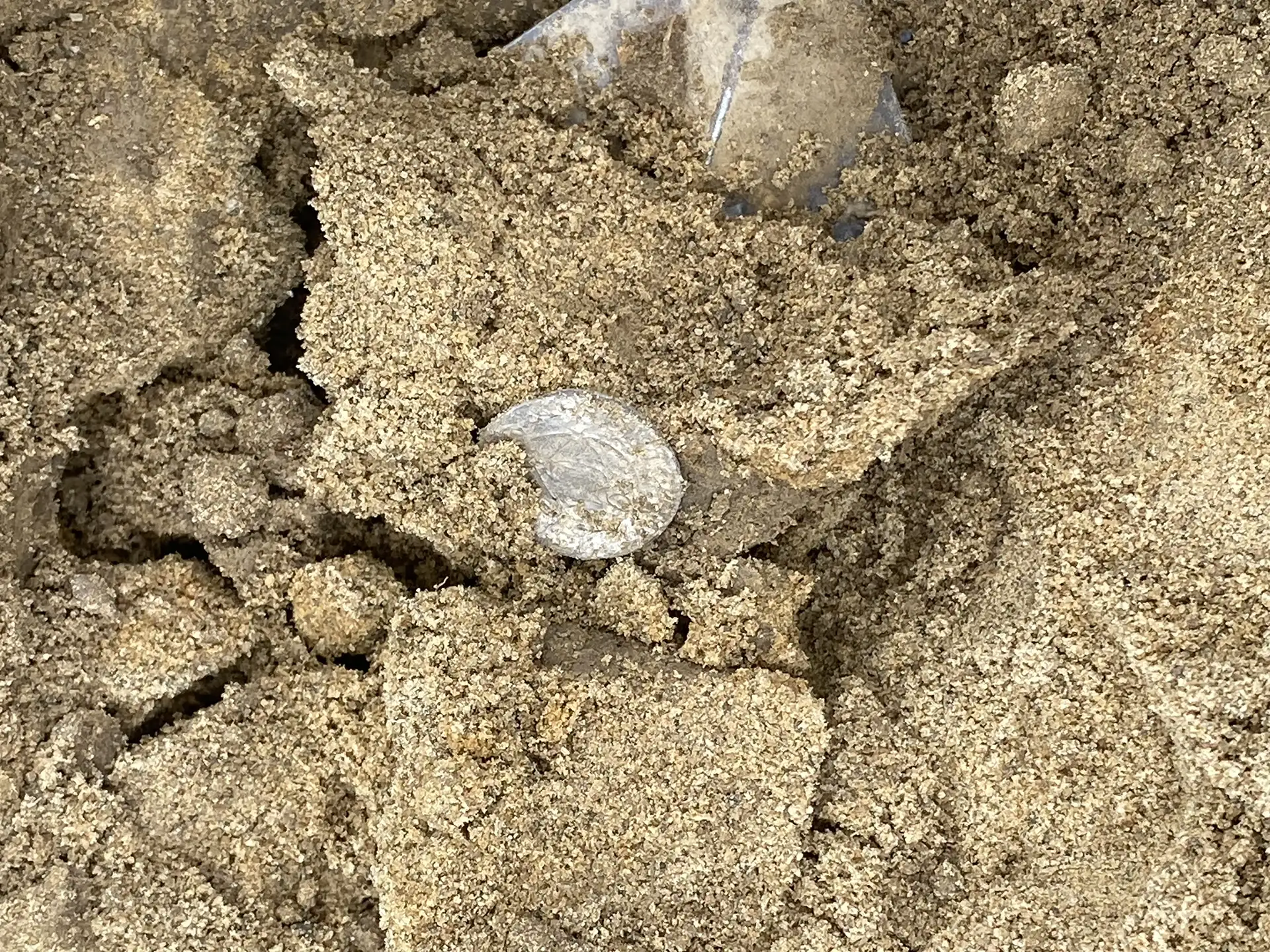Bildet kan inneholde: jord, sand, blanding, naturmateriale.