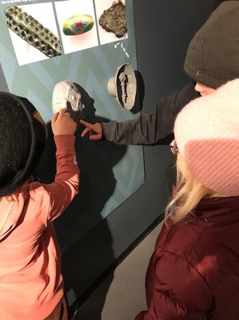 Elevene undersøker de 3D printede modellene