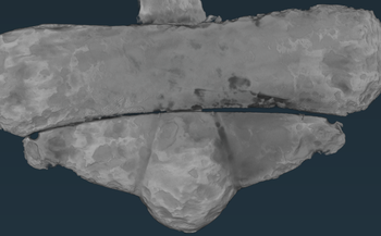 Gjennom CT-scan er det mulig å skimte sølvdekoren som prydet sverdet i vikingtid&amp;#160;