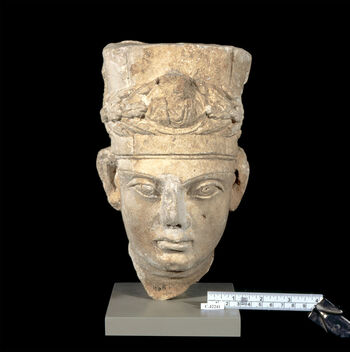 (C42241) Dette 24 cm. høye hodet av kalksten er brutt av fra en bakgrunn. Stilen og materialet er typisk for palmyrensk skulpturkunst fra 150–200 e.Kr., og man kan derfor anta at det kommer fra det syrisk-palestinske området. Dette understrekes av det sylinderformede hodeplagget, som var karakteristisk for prester der. Hodeplagget er dekorert med en eikekrans som ender midt over pannen i en medaljong med en byste. Portrettet tilkom museet som en gjenstand i Baron Platon von Ustinows (1840–1917) samling.