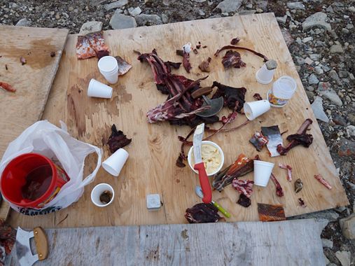 Etter festen: Rester av Igunaq (i den røde boksen) og annen festmat, Gjoa Haven høsten 2014.