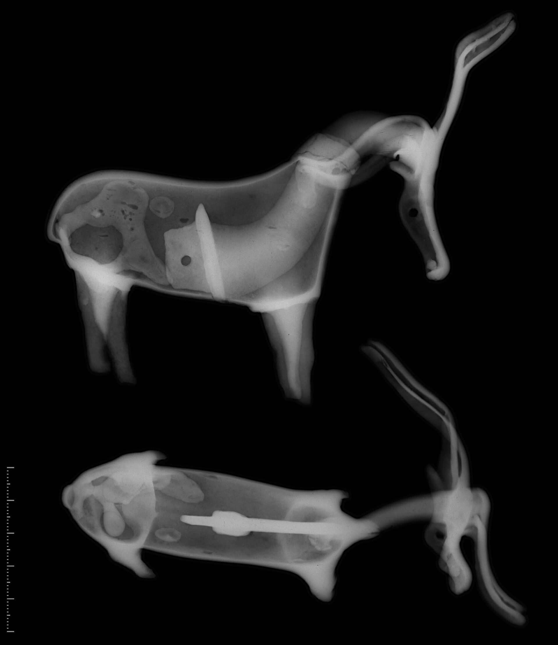 Røntgenbilde av den ene dyrefiguren, som viser hvordan hodet er blitt støpt inn i kroppen.&amp;#160;Sokkelen med festemekanismen i enden av halsen er også synlig.