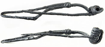 branch.