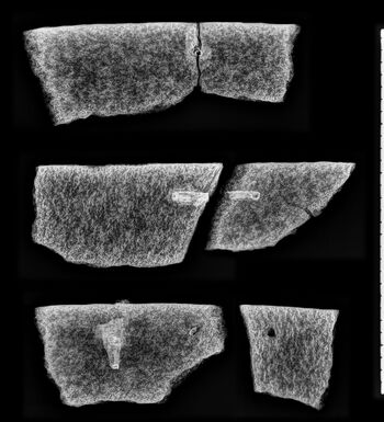 Karets hankfester og reparasjonskramper i jern er godt synlig på røntgen. Røntgenfoto: Vegard Vike, KHM/UiO.